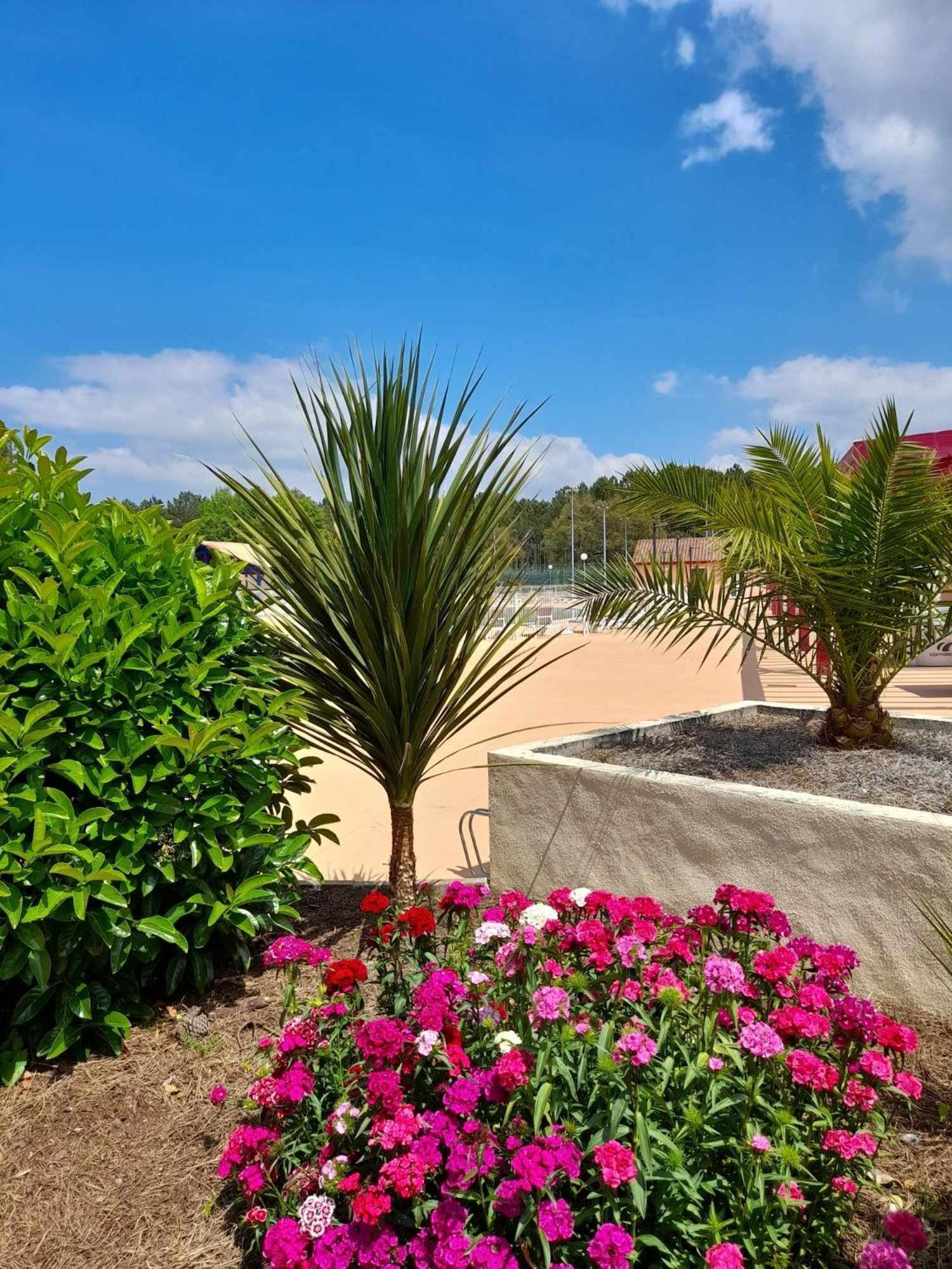 *jolie Maison Proche Et Marin, Avec Piscine, Tennis A Plage* Holiday home Soustons